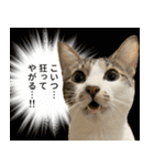 うずめの毎日3（個別スタンプ：11）