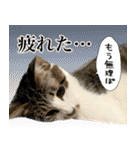 うずめの毎日3（個別スタンプ：15）