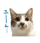 うずめの毎日3（個別スタンプ：19）