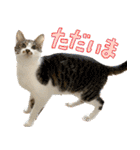 うずめの毎日3（個別スタンプ：21）