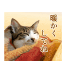 うずめの毎日3（個別スタンプ：25）
