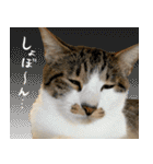 うずめの毎日3（個別スタンプ：32）