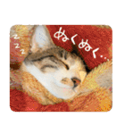 うずめの毎日3（個別スタンプ：33）