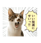 うずめの毎日3（個別スタンプ：38）