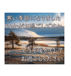 ずっと使えるクリスマスと冬の挨拶＆年賀（個別スタンプ：24）