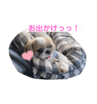 うちの『さくらさん』（個別スタンプ：6）