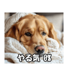 だら犬(だらだらしてる犬)（個別スタンプ：5）