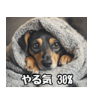 だら犬(だらだらしてる犬)（個別スタンプ：6）