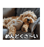 だら犬(だらだらしてる犬)（個別スタンプ：12）