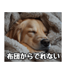 だら犬(だらだらしてる犬)（個別スタンプ：13）