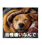 だら犬(だらだらしてる犬)（個別スタンプ：14）