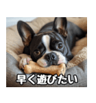 だら犬(だらだらしてる犬)（個別スタンプ：21）