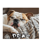 だら犬(だらだらしてる犬)（個別スタンプ：26）