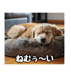 だら犬(だらだらしてる犬)（個別スタンプ：28）