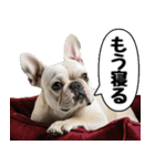 だら犬(だらだらしてる犬)（個別スタンプ：30）