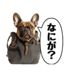 だら犬(だらだらしてる犬)（個別スタンプ：32）