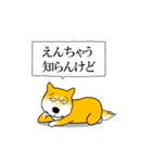 よく職務質問をうける柴犬（個別スタンプ：3）