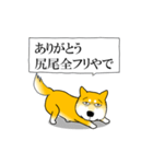 よく職務質問をうける柴犬（個別スタンプ：4）