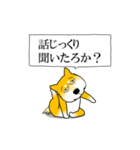 よく職務質問をうける柴犬（個別スタンプ：5）