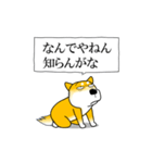 よく職務質問をうける柴犬（個別スタンプ：6）