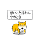 よく職務質問をうける柴犬（個別スタンプ：7）