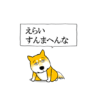 よく職務質問をうける柴犬（個別スタンプ：8）