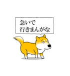 よく職務質問をうける柴犬（個別スタンプ：10）