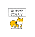 よく職務質問をうける柴犬（個別スタンプ：11）