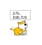 よく職務質問をうける柴犬（個別スタンプ：13）