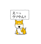 よく職務質問をうける柴犬（個別スタンプ：16）