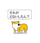 よく職務質問をうける柴犬（個別スタンプ：20）