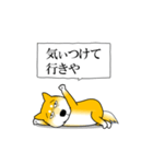 よく職務質問をうける柴犬（個別スタンプ：21）