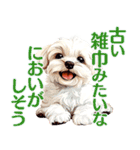 言いにくい事を犬でソフトに伝えるスタンプ（個別スタンプ：3）