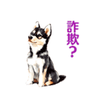 言いにくい事を犬でソフトに伝えるスタンプ（個別スタンプ：10）