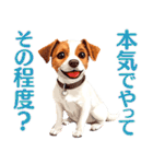 言いにくい事を犬でソフトに伝えるスタンプ（個別スタンプ：13）