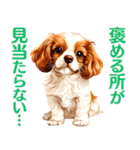 言いにくい事を犬でソフトに伝えるスタンプ（個別スタンプ：15）