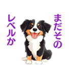 言いにくい事を犬でソフトに伝えるスタンプ（個別スタンプ：17）