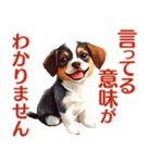 言いにくい事を犬でソフトに伝えるスタンプ（個別スタンプ：23）