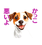 言いにくい事を犬でソフトに伝えるスタンプ（個別スタンプ：31）