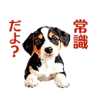 言いにくい事を犬でソフトに伝えるスタンプ（個別スタンプ：32）