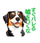 言いにくい事を犬でソフトに伝えるスタンプ（個別スタンプ：35）