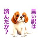 言いにくい事を犬でソフトに伝えるスタンプ（個別スタンプ：36）