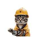 【ヨシ！】現場仕事/猫/ねこ/ネコ（個別スタンプ：1）