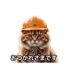 【ヨシ！】現場仕事/猫/ねこ/ネコ（個別スタンプ：3）