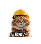 【ヨシ！】現場仕事/猫/ねこ/ネコ（個別スタンプ：4）