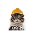 【ヨシ！】現場仕事/猫/ねこ/ネコ（個別スタンプ：6）