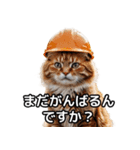 【ヨシ！】現場仕事/猫/ねこ/ネコ（個別スタンプ：8）