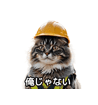 【ヨシ！】現場仕事/猫/ねこ/ネコ（個別スタンプ：9）