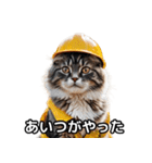 【ヨシ！】現場仕事/猫/ねこ/ネコ（個別スタンプ：10）