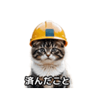 【ヨシ！】現場仕事/猫/ねこ/ネコ（個別スタンプ：12）